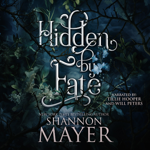 Audiobook cover for 