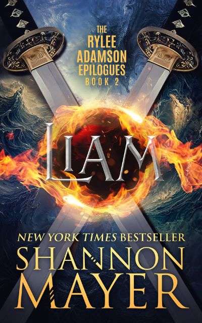 Book cover for 